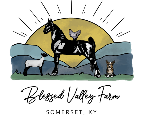 Blessed Valley Farm