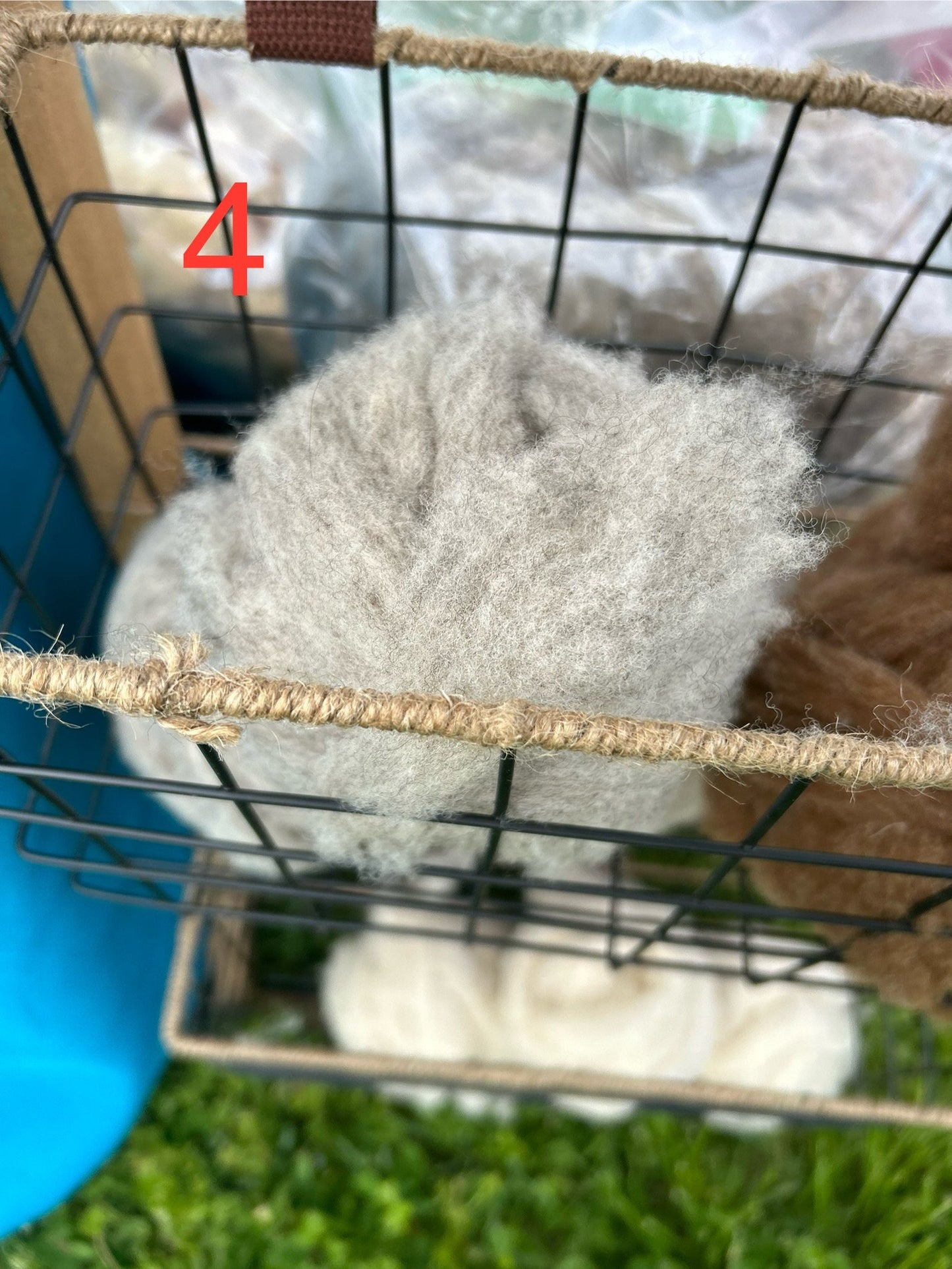 Premium Shetland Roving for Hand Spinners | Ethically Sourced Wool at Blessed Valley Farm