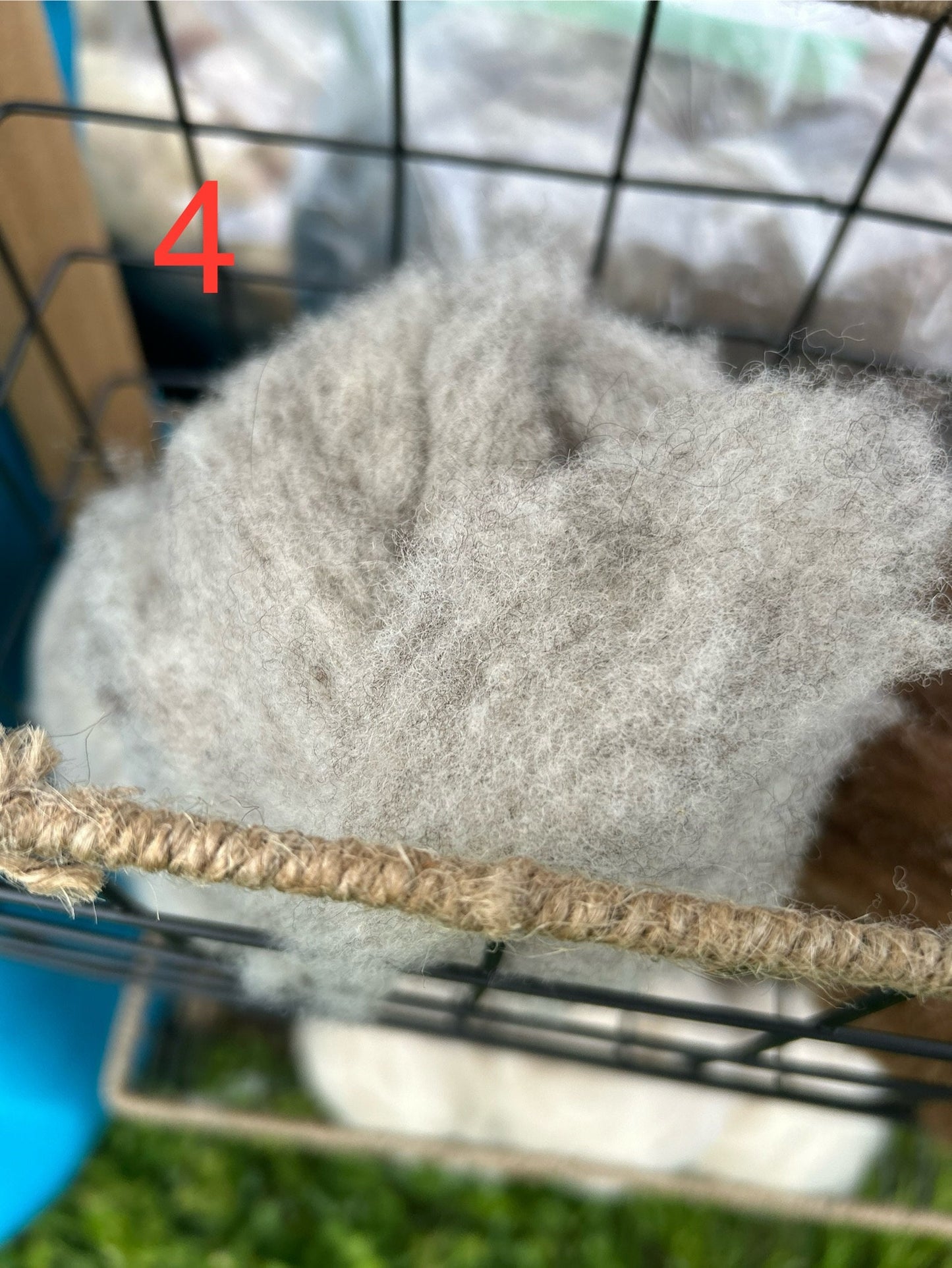 Premium Shetland Roving for Hand Spinners | Ethically Sourced Wool at Blessed Valley Farm