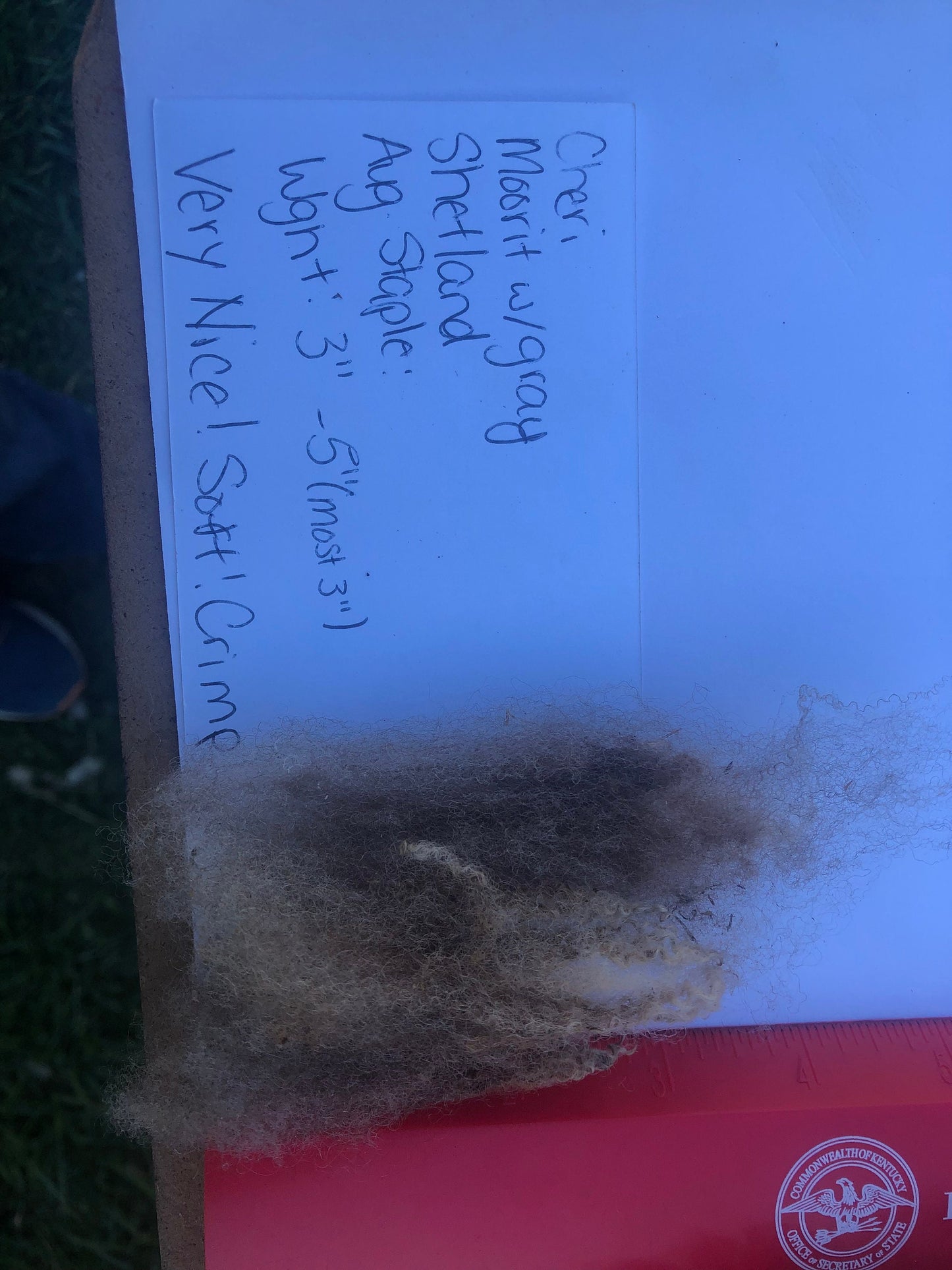 Raw Junk Shetland/ Suffolk Wool
