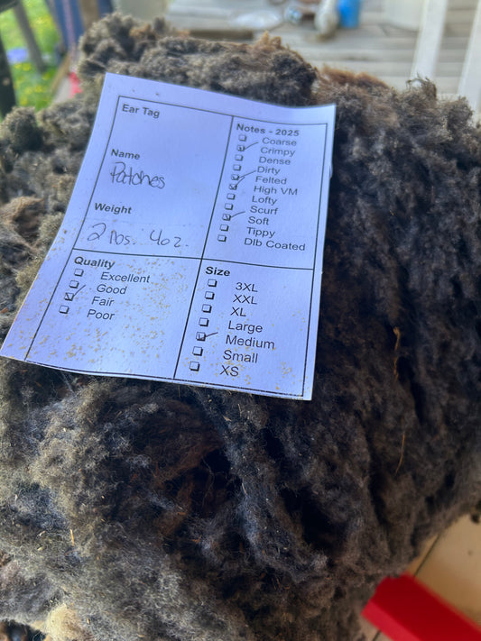 Patches Wool 2025