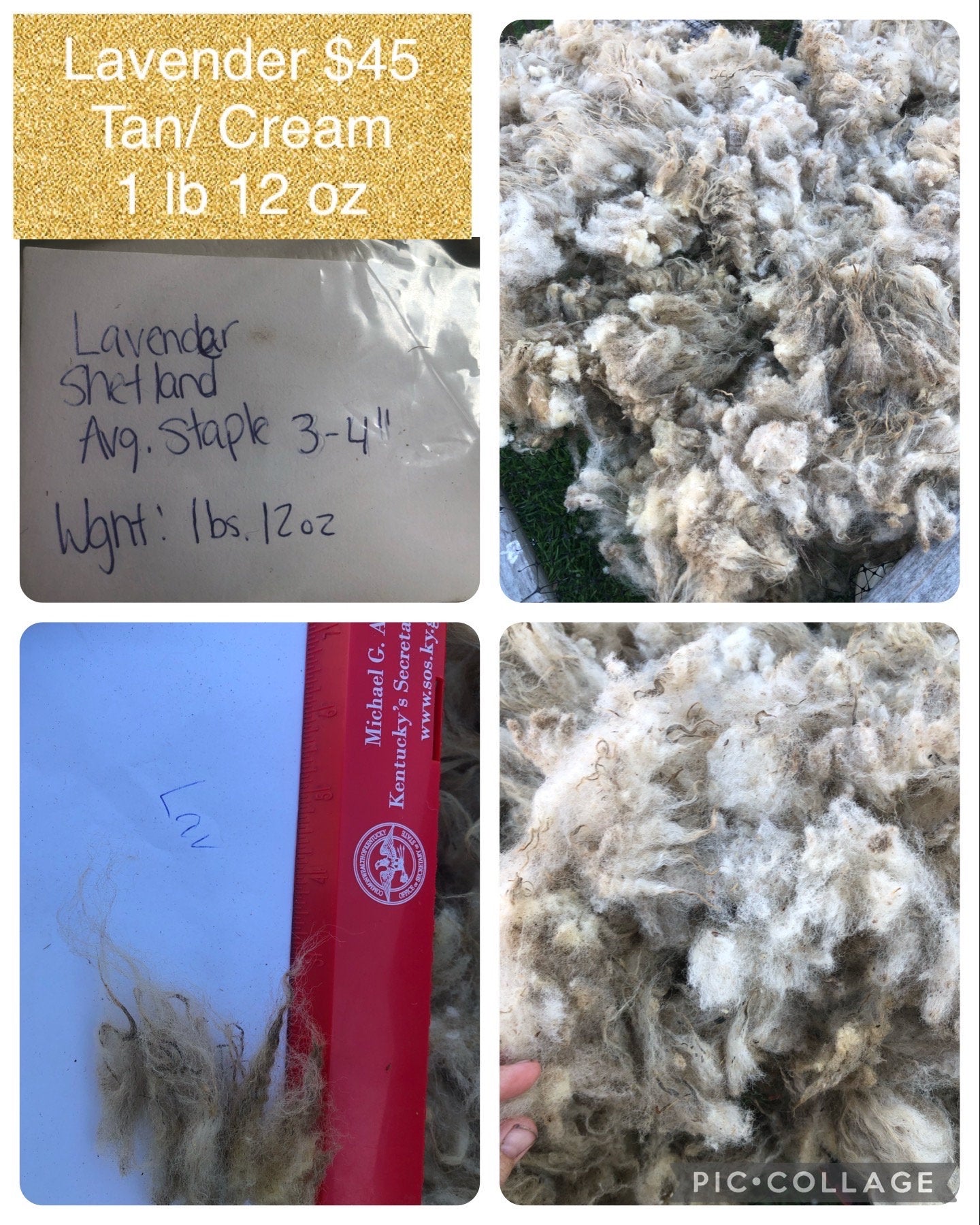 Lavender 23 - Tan Raw Shetland Wool