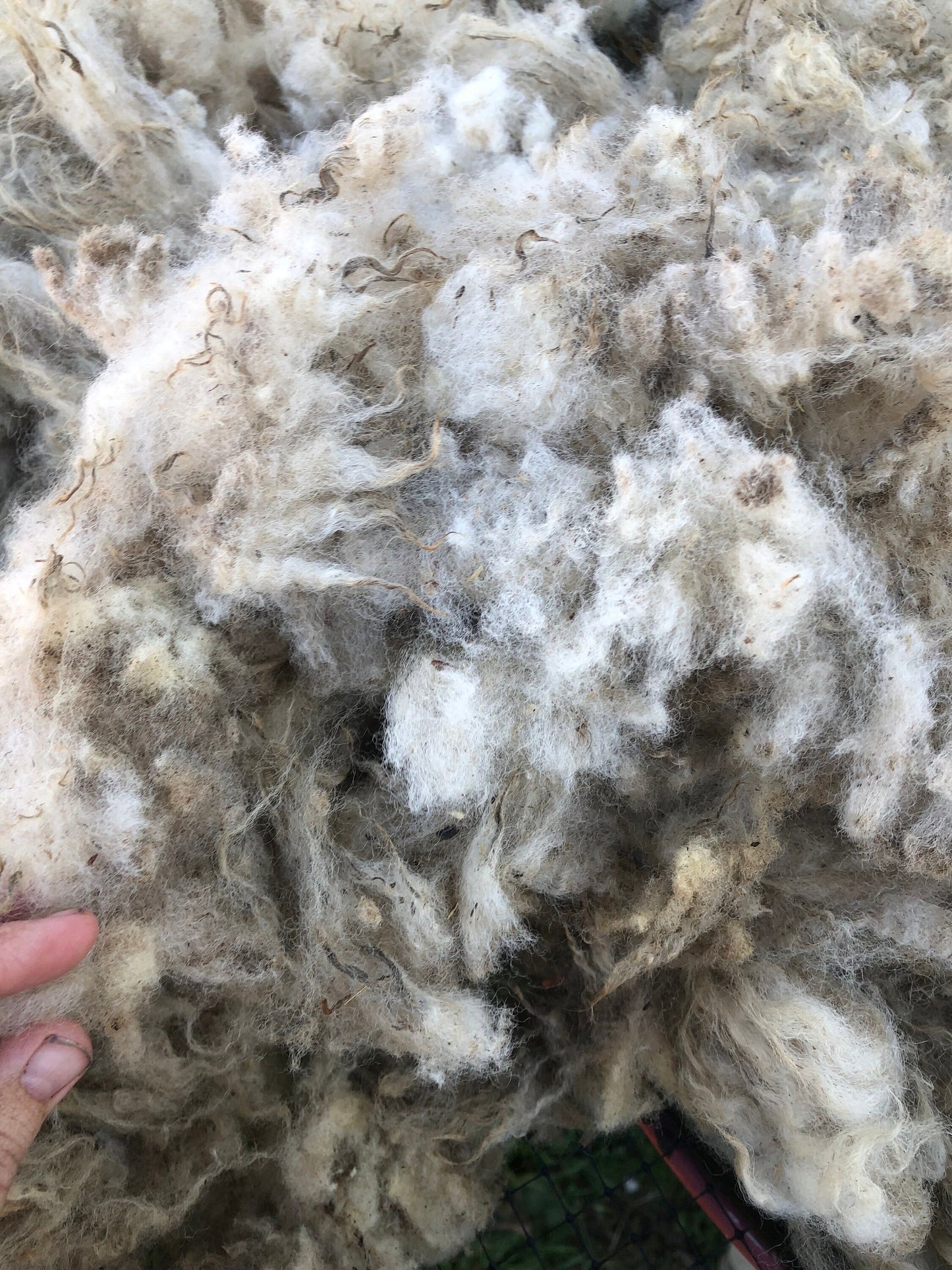 Lavender 23 - Tan Raw Shetland Wool